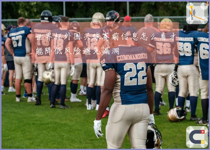 世界杯外围买球赛前信息怎么看才能降低风险避免漏洞