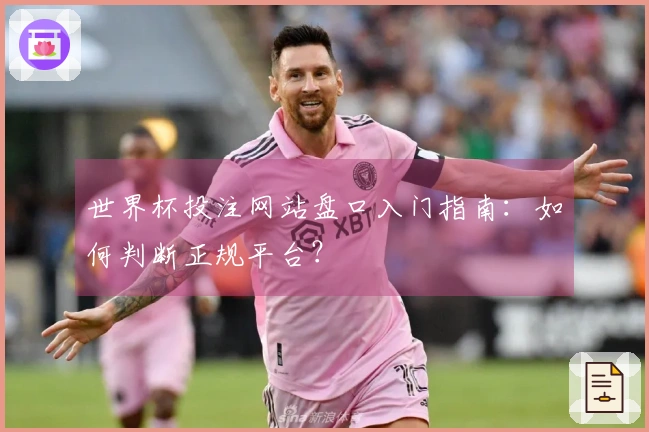 世界杯投注网站盘口入门指南：如何判断正规平台？