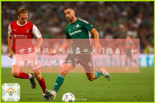 世界杯投注网站盘口入门指南：如何判断正规平台？