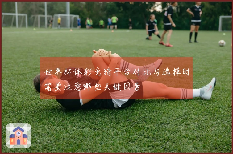 世界杯体彩竞猜平台对比与选择时需要注意哪些关键因素