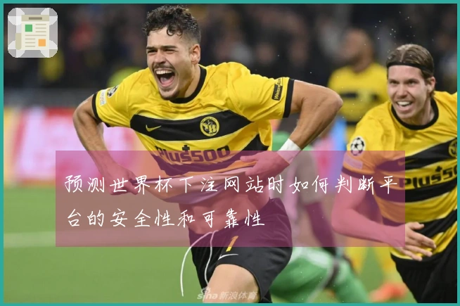 预测世界杯下注网站时如何判断平台的安全性和可靠性