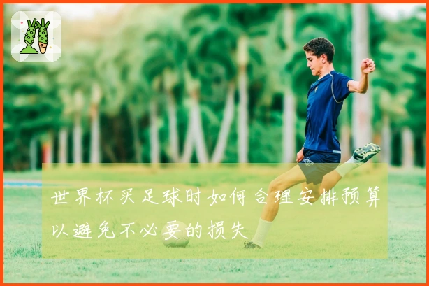 世界杯买足球时如何合理安排预算以避免不必要的损失